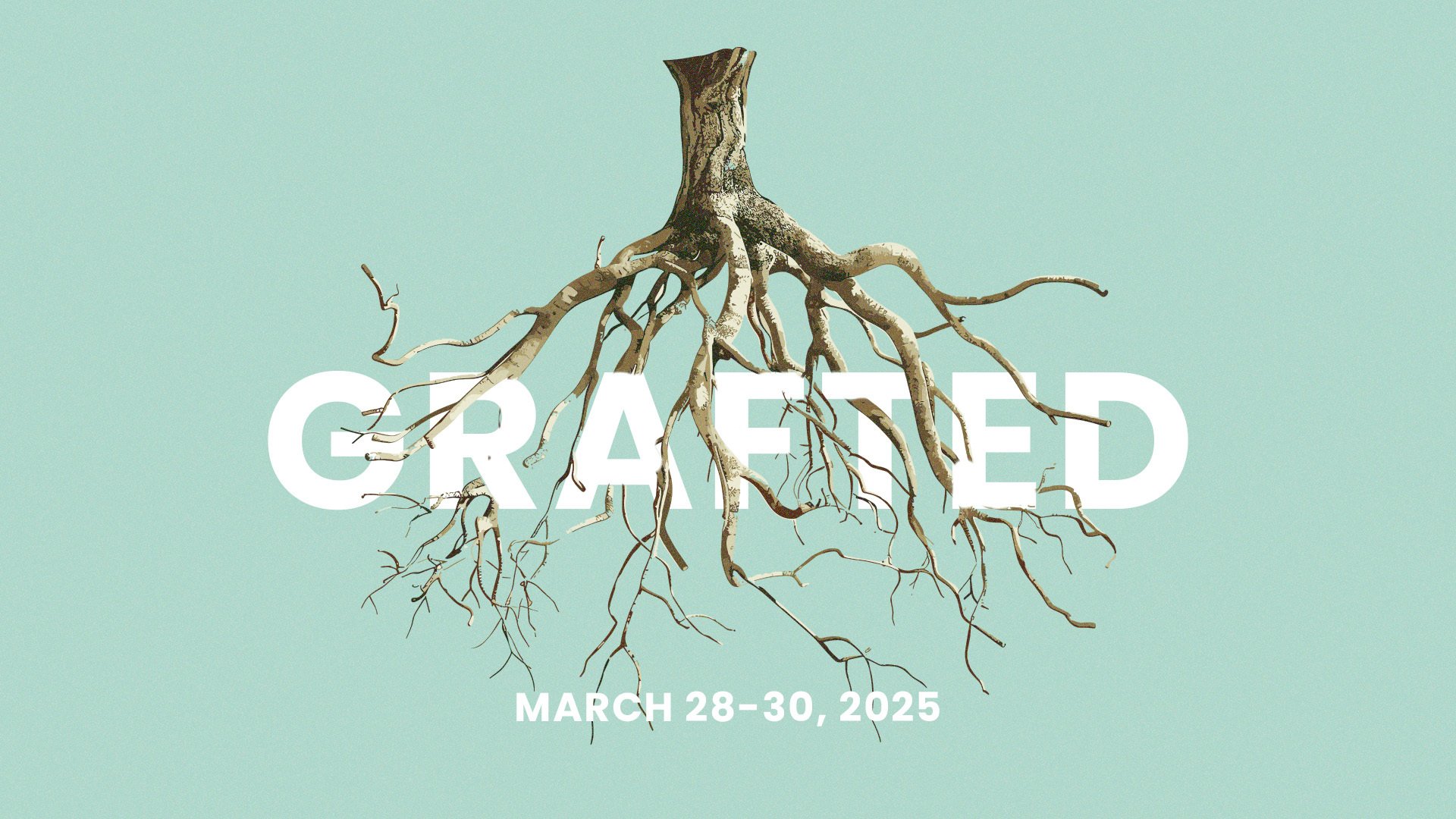 grafted_-_concept_1.jpg