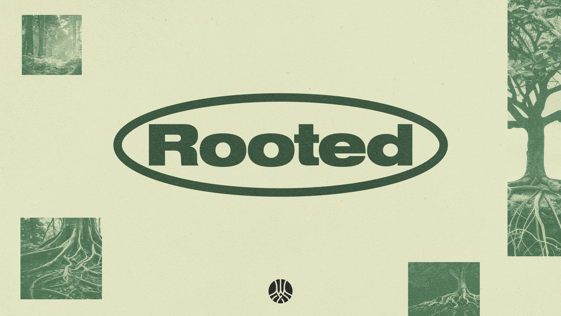 Rooted - Finals - HD TITLE.jpg