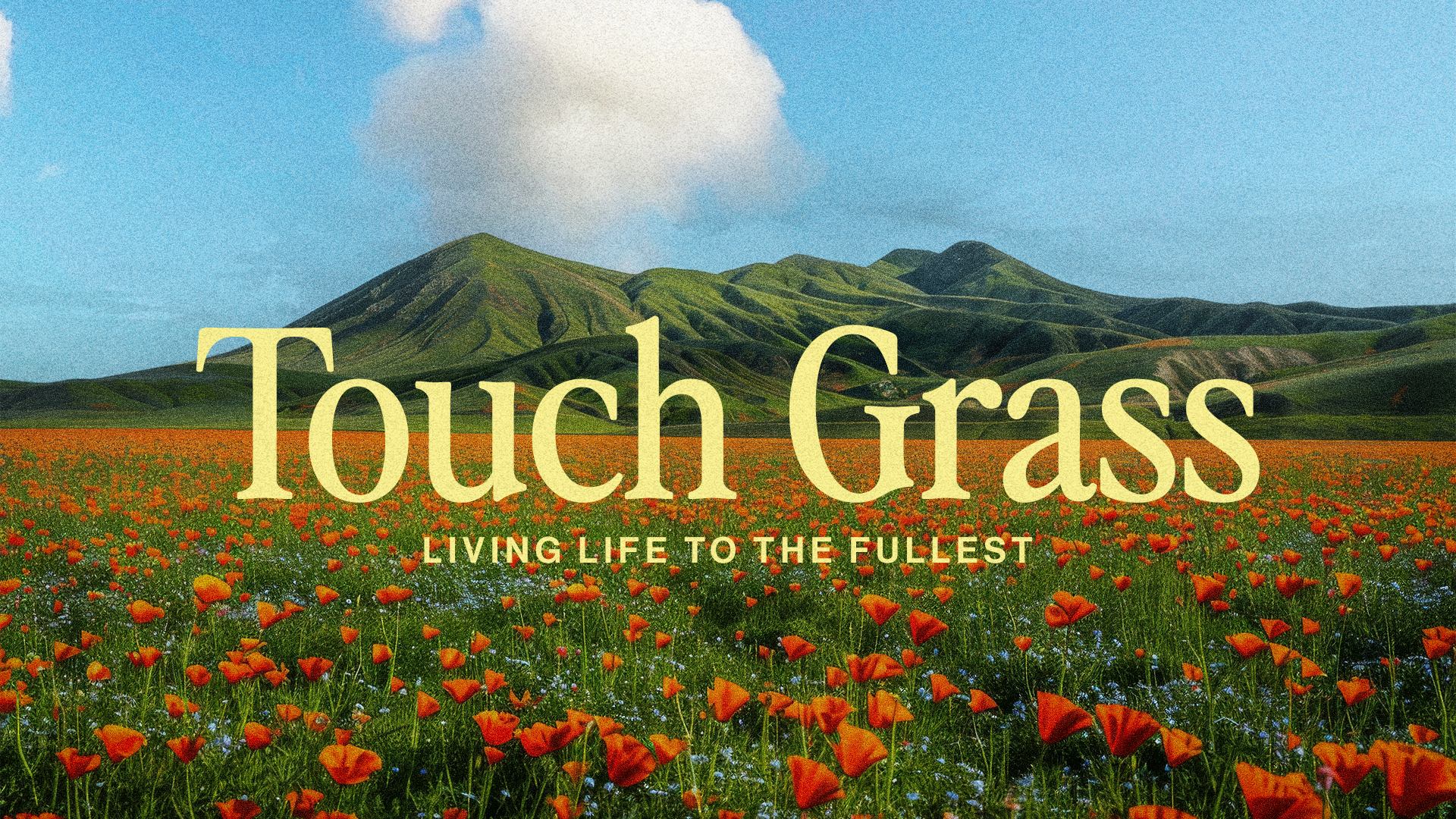 Touch Grass - Concept 1 (1).png